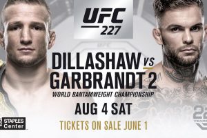 Read more about the article UFC 227 KODI